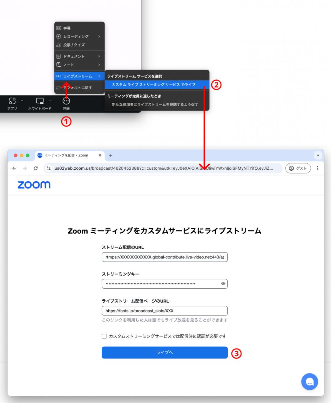zoom3.png